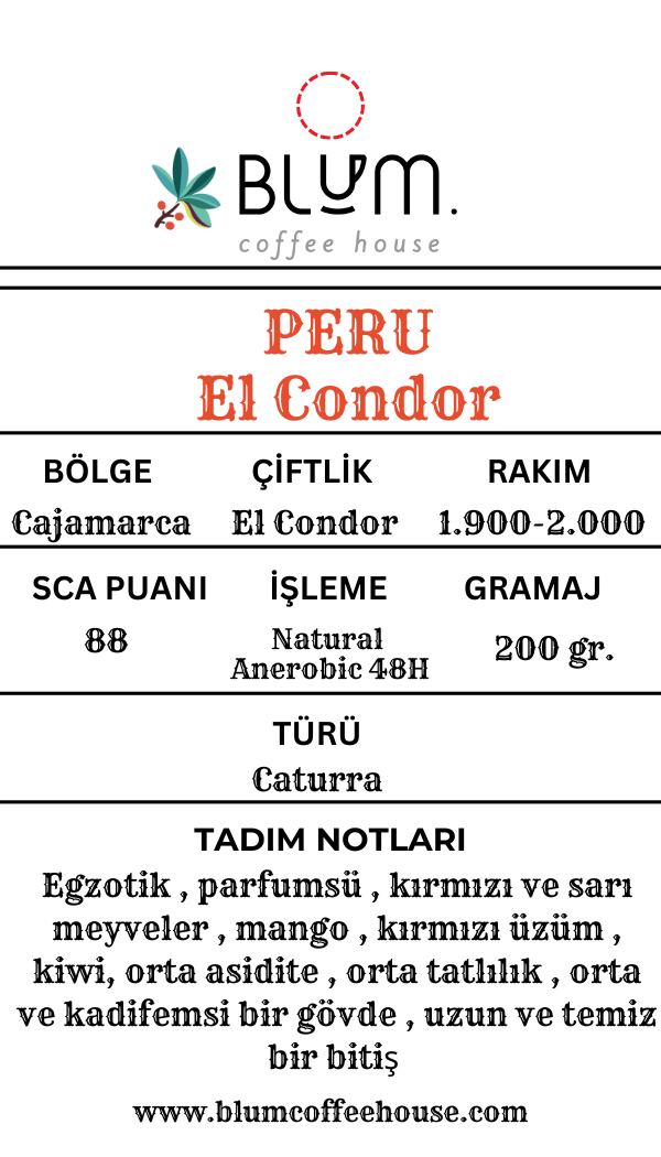 Peru El Condor