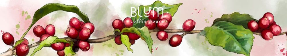 blumcoffeehouse